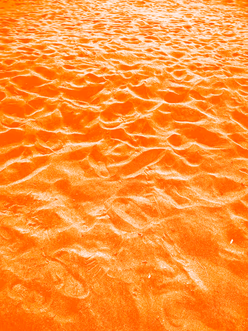 Item #98843954857266856101330559780238873570552098425130206222908041836235379965953 Media