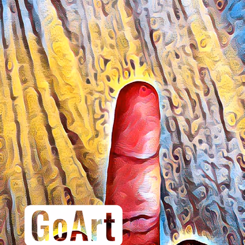 Untitled Collection #3830905064