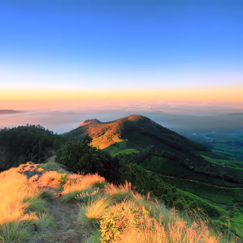 Hues of Kolukkumalai : HOK-010