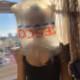 20532418913773810499076204966063498231456496574579495397536131618313959636993