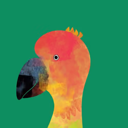 Mad Parrot