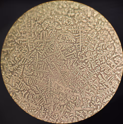 Item #62240634126339665255935216613930032748570971978285931848338238764336950542337 Media