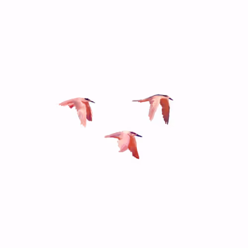 Item #7599254879665146878791227157855355270792560227676444745389415927790440546305 Media