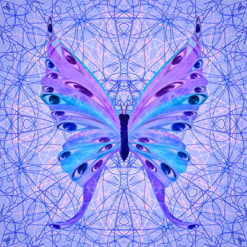 The Butterfleye