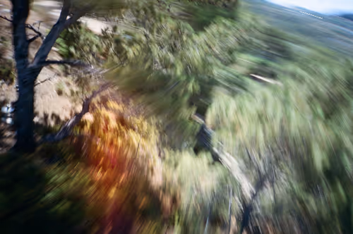 Item #38495668349306452240688866721683925223246116077147746545727998333756280668260 Media