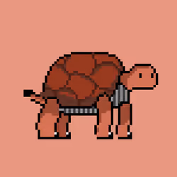 Turtle #010