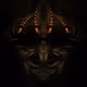 Starseed_Apes Collection - old