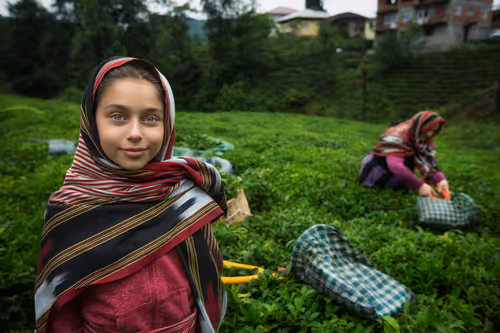 Item #113076858073467689643899346796900450933537958386378511512148870034147415949313 Media