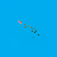 75141917017264930083837692578234640777116663273155962941304341125725247504385