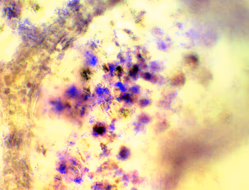 Item #71646257518770613568983710813551014237803002136866425209291833927338028957697 Media