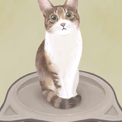 Cutest Cat