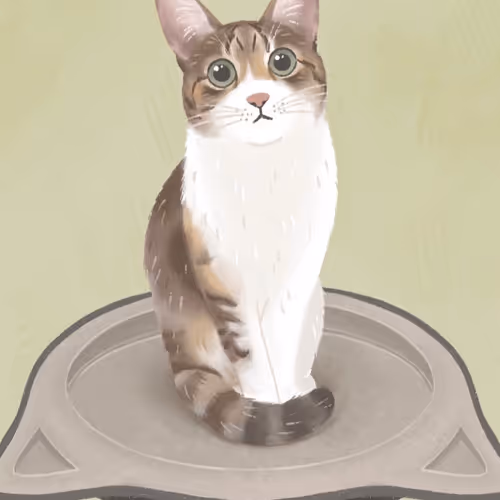 Cutest Cat
