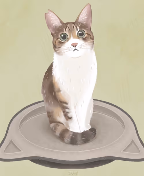 Item #46016659355538730215784640239157199277823009656630270532166033924598364372993 Media