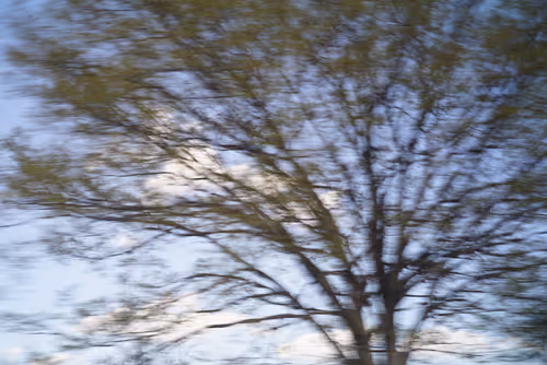 Item #70208692216166007409551313352686246739486859339551746312653787889586019500033 Media