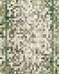 12325373483572719967795320012061967533914195640300563770075413387094953820161