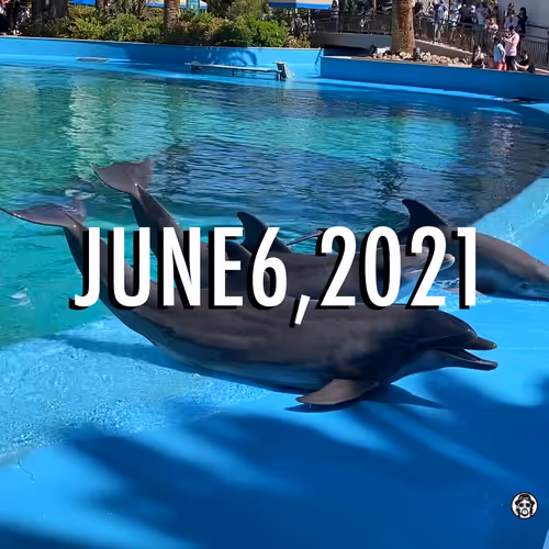 Item #45958045221988451049058419326192615846966683102815571306557493773391185838081 Media