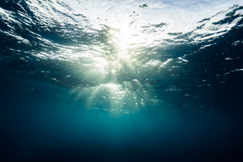 Item #99926930229538675438917090631619995362212113699001151744757174502414107017316 Media