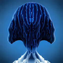 23257988316308240444286104197416324799649502812477909795597000826421835202561