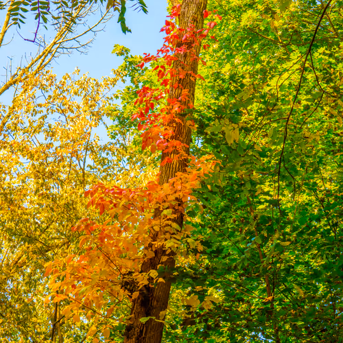 Item #35965218379738729691291467168286792303482134167127854404987491542704924393473 Media