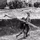 Alex Soh - Solar Coffee Project - Collection of 88 Photos