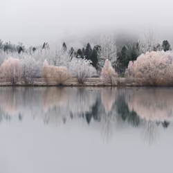 Winter | New Zealand | 8/9