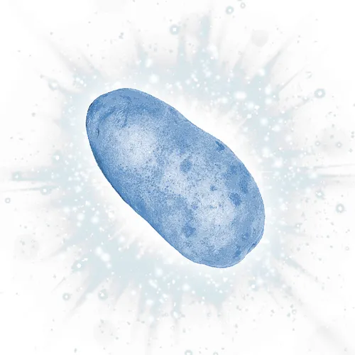 Item #107916259476164807250970753368899698568403674003143293495325882209722007814243 Media