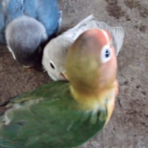 Untitled Collection #195394304