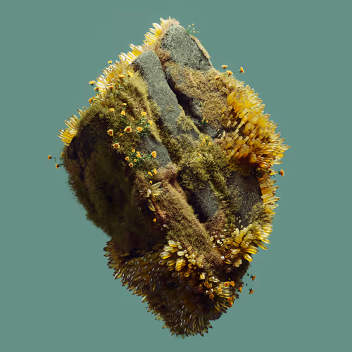 Kimberlites