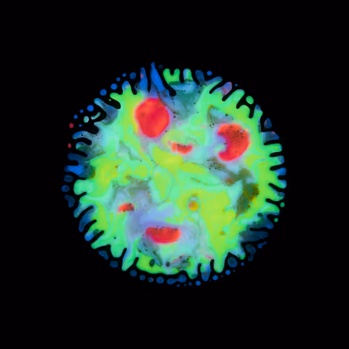 Item #39853347361311550538823328626004824816221754573894422864413753272516040720385 Media