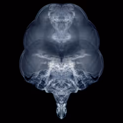 85859191866638808365331437874953228966785819470149775310971063436338714902529