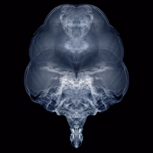 Item #85859191866638808365331437874953228966785819470149775310971063436338714902529 Media