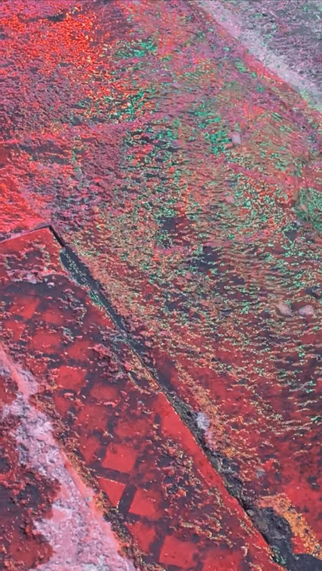 Item #62402000334580523921237358418718502457721815832787791947048085094685481107457 Media