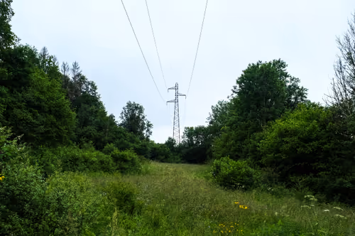 Item #88837150709499798352031986971363165703044907958800399059978422688638528651265 Media