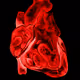 ANATOMICAL
