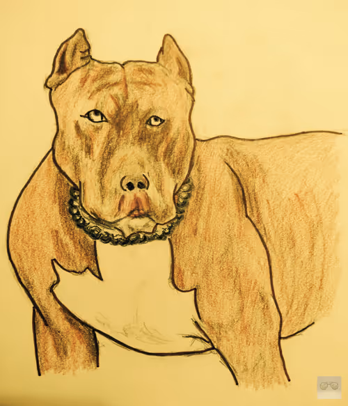 Item #73751005446205567110562479893401256064422636814134837291846161758503267467265 Media