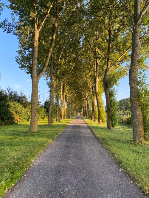 Item #68021680421370609917971695803708180506045537231368972803899735107615674335233 Media