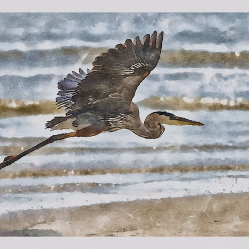 55704534837685659622621715309832868758345944585427688586690141432256529432577