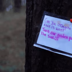 Forest note 2