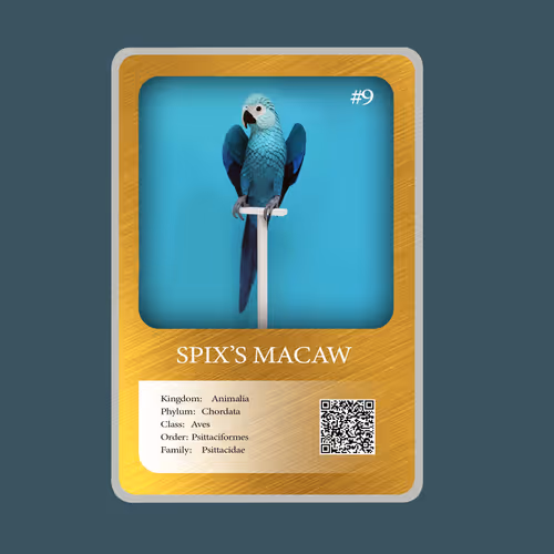 20886832718642689244376634643648949640883698673827989316943493373875055493121