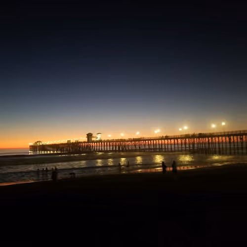 CryptoWoodz Collection