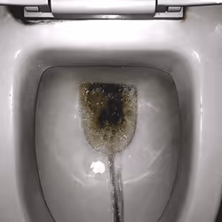 12660136923828748263426703316480839463053827608546839420335323606197458698241