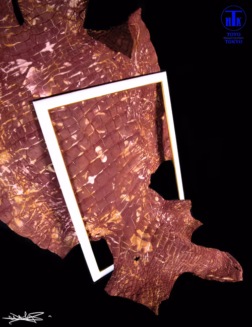 Item #65718052376404825530132698476454308049276015836189851915939897262622080237569 Media