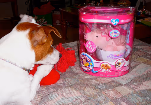 Item #5985210497355107417265215381210579199842884272282595265964883393518260715521 Media