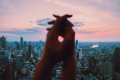 Item #105025572156970423279806083631740089086586526732791604564462751991211254349825 Media