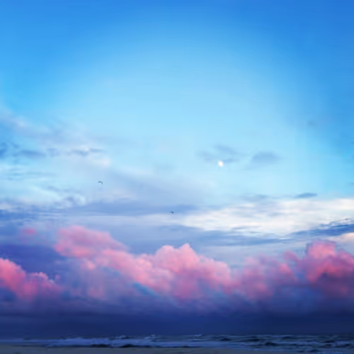 Untitled Collection #63997307