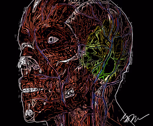 Redirected_Panda Collection - old V2