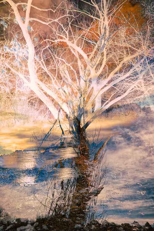 Item #43070642994582151386358674044565282189823590149162061953262107345369629196289 Media