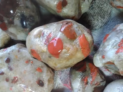 Item #2953591008869991525479195481978449020908380136781448361596082520563122176001 Media