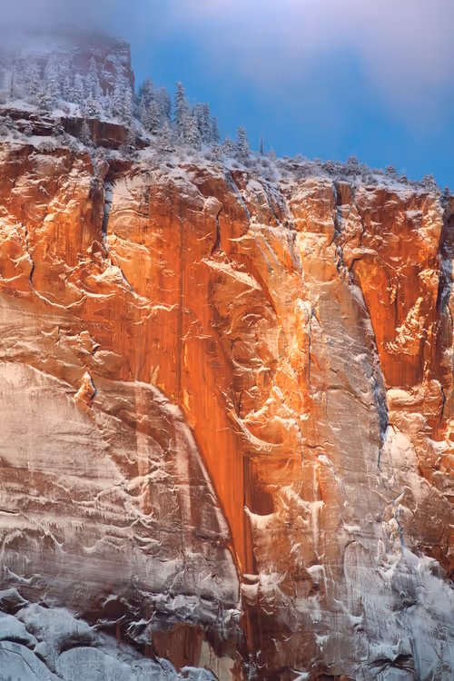 Item #104222477878936975550568713233497043538790385416897933242955975562837708767233 Media