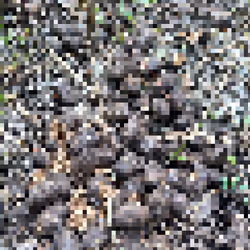 2850415134272365380187775685678842410458265265709128331682257523867956281345